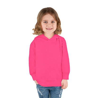 🌈 Rainbow Chaser Extraordinaire Hoodie 🌈 Toddler