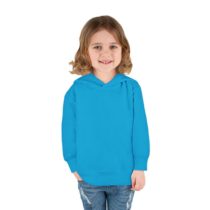 🌈 Rainbow Chaser Extraordinaire Hoodie 🌈 Toddler