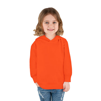 🌈 Rainbow Chaser Extraordinaire Hoodie 🌈 Toddler